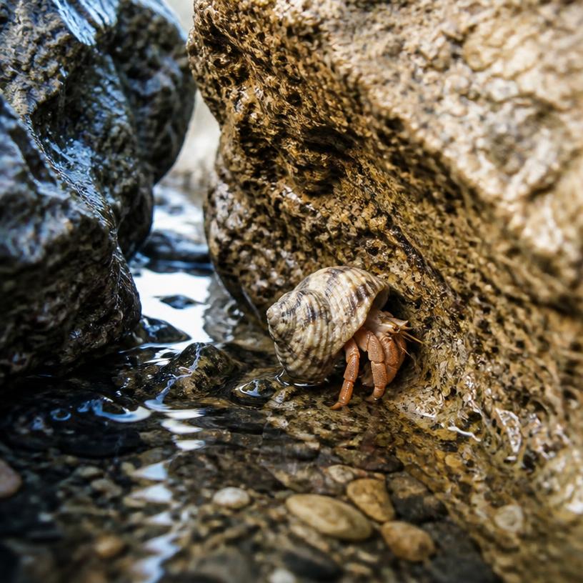 Odhalené prekvapenia všedného sveta